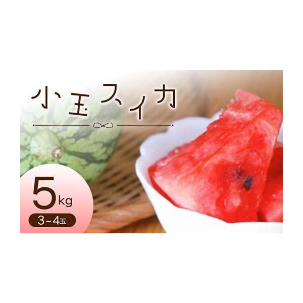 容量小玉スイカ3〜4玉  5kg※玉数はお選びできません。消費期限約4日※生鮮物ですので期限は目安となります。状態をよくご確認の上、お早めにお召し上がり下さい。発送期日2026年7月上旬頃〜8月下旬頃配送常温 時間指定 別送申込期日2026...