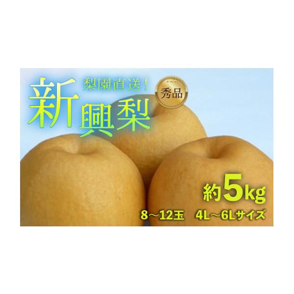 容量［秀品］新興梨 5kg(8〜12玉入 サイズ：4Ｌ〜6Ｌ）消費期限到着後より30日※お受取りになられましたら、直ぐに開封し、キズ等がないかご確認ください。貯蔵性が高いので、1玉づつ紙等で包みビニール袋に入れて、冷蔵庫の野菜室で保存します...