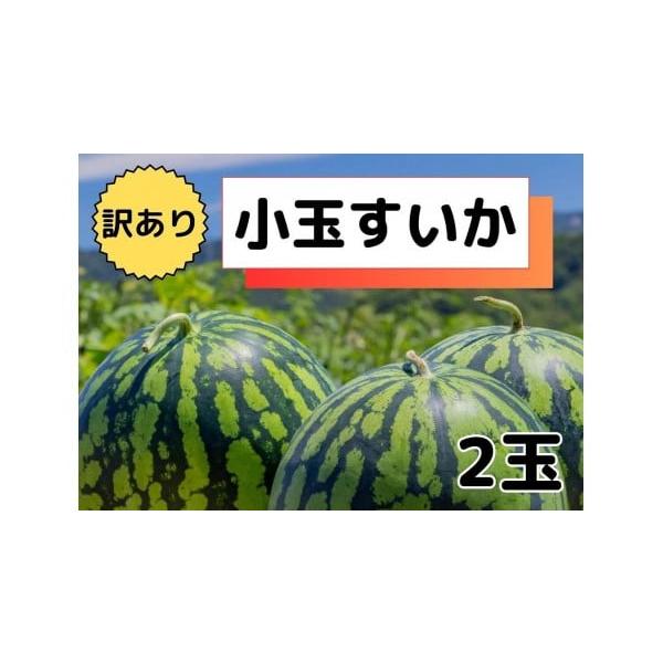 容量２玉 （１玉：１ｋｇ前後）※１玉は重さの選定しております。消費期限５日〜７日（できるだけ早くお召し上がりください。）発送期日2026年7月16日〜2026年8月20日の期間に受付順に順次発送予定。※発送時期は予定になります。収穫の状況に...