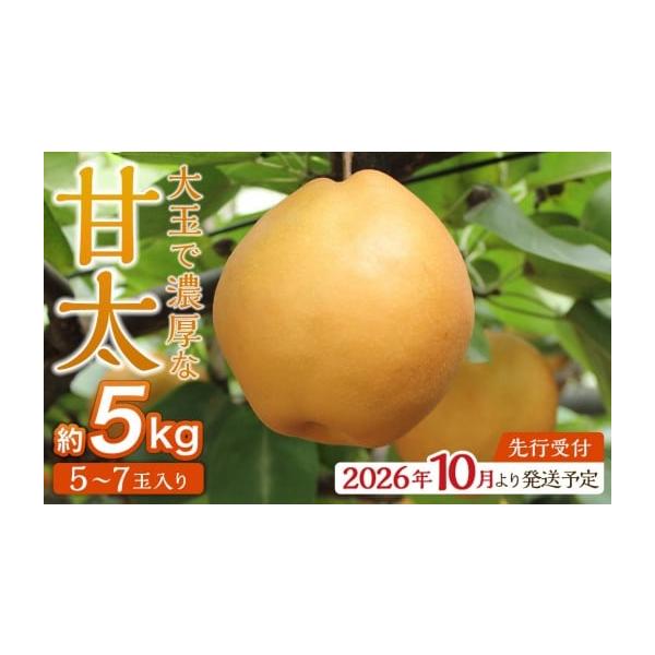 容量甘太 約5kg（目安として5〜7玉）※玉数はあくまで目安です。梨の大きさにより変動することがございます。消費期限出荷後7日程度暗冷所にて保管ください高温になりやすい場合は野菜室保管をおすすめします発送期日2026年10月下旬〜11月上旬...