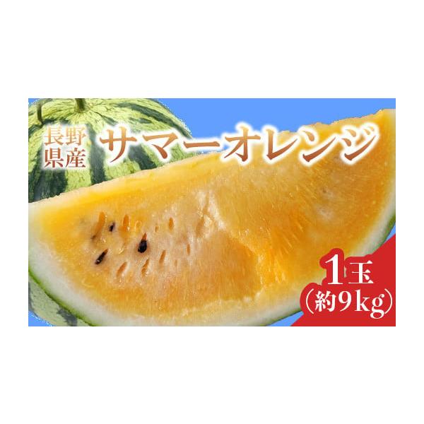 容量長野県山形村産　すいか　1玉消費期限※返礼品到着後は、なるべく早くお召し上がりください。発送期日2026年7月下旬頃より順次発送予定配送常温 時間指定 別送申込期日2026年7月27日まで事業者中川農園申込条件何度も申し込み可、オンライ...