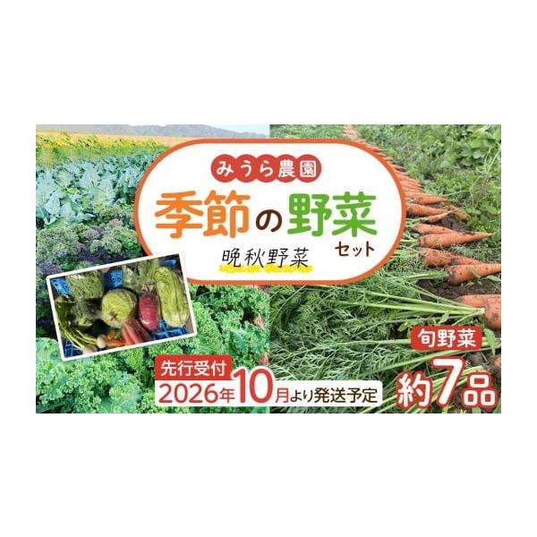 容量秋冬野菜7品角田市産家族経営商品消費期限出荷日より1週間程発送期日10月下旬〜11月中旬※生育状況により変更になる場合がございます。配送常温 時間指定 別送申込期日〜2026年10月31日事業者みうら農園申込条件何度も申し込み可、オンラ...