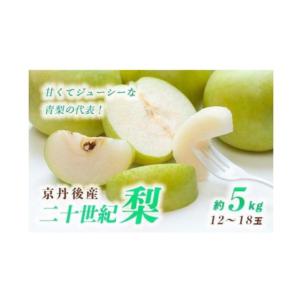 容量5kg（12〜18玉）消費期限【賞味期限】出荷日から10日間【保存方法】冷暗所にて常温保存または、要冷蔵10℃以下発送期日【配送可能期間】2026年9月上旬〜10月下旬【配送不可地域】北海道、沖縄、一部離島配送常温 時間指定 別送申込期...