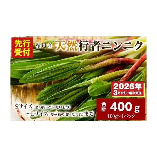 容量【先行予約開始！】2026年発送★積丹産！サイズ：S〜L（葉の出ていないもの~葉が少し開きかけた若芽）総重量：400g個数：100g入り×4パック消費期限賞味期限：到着後7日（要冷蔵）消費期限：到着後10日（要冷蔵）発送期日2026年3...