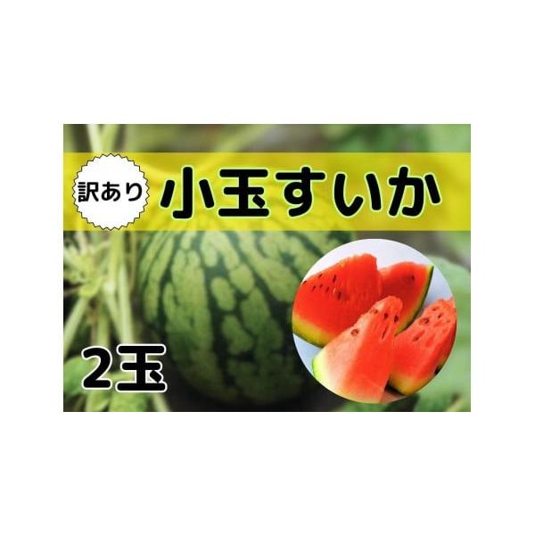 容量小玉２玉（１玉：１ｋｇ前後）※１玉は重さの選定しております。消費期限５日〜７日（到着後なるべく早めにお食べください。）発送期日2026年7月16日〜2026年8月20日の期間に受付順に順次発送予定。※発送時期は予定になります。収穫の状況...