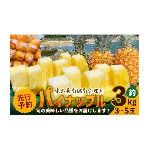 ふるさと納税 果物類 鹿児島県 南大隅町 2027年発送先行予約 数量限定