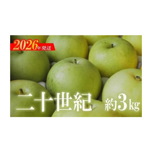 容量3kg(6〜9玉入)消費期限発送日より7日発送期日2026年9月中旬から2026年9月下旬発送予定配送常温 時間指定 別送事業者石田果樹園申込条件何度も申し込み可、オンライン決済限定