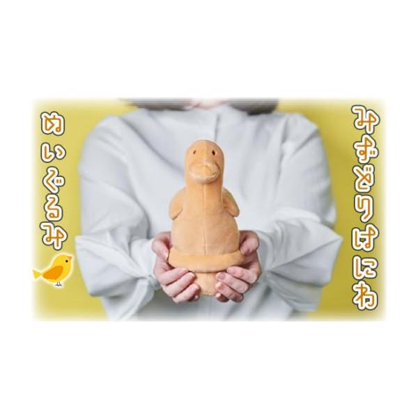 furusatochoice_5877249