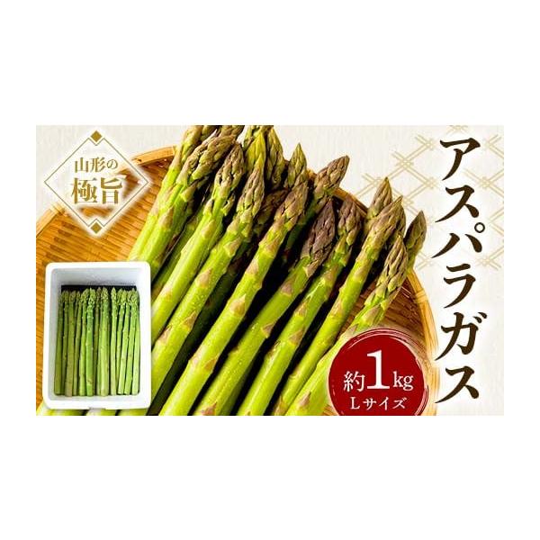 容量アスパラガス約1kg（Lサイズ）消費期限お届けより5日程度発送期日2026年7月下旬頃〜9月上旬頃配送冷蔵 時間指定 別送申込期日2026年8月10日まで事業者山形うまいずマーケット申込条件何度も申し込み可、オンライン決済限定