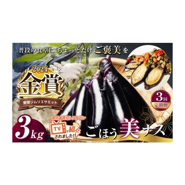 容量【定期便3回】1回あたりの内容量　約3kg夏秋ナス(約25-30本) or 長ナス(約21-24本)※ 天候や栽培環境等の影響により、茄子の収穫本数が変動する場合がございます。予めご理解・ご了承いただけますようお願いいたします。消費期限...