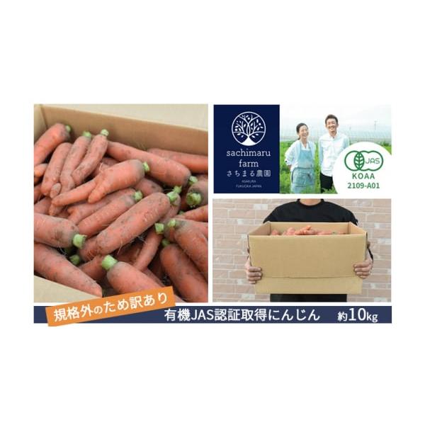 容量福岡県朝倉市産　にんじん　約10kg消費期限発送日から常温10日前後。冷暗所保管発送期日2025年12月上旬〜2026年2月下旬配送常温 別送申込期日2025年12月31日まで事業者さちまる農園申込条件何度も申し込み可