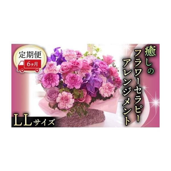 筑西市6ヶ月定期便セラピー花束LLサイズを徹底解説