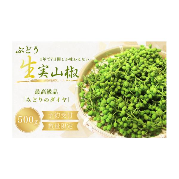 容量500g消費期限出荷後5日間※賞味期限が短いため、早めにお召しいただきますようにお願いいたします。※商品到着後、できるだけ早く下処理をしていただけますと冷凍で1年間保存が可能です。発送期日2026年5月中旬から5月下旬に発送いたします。...