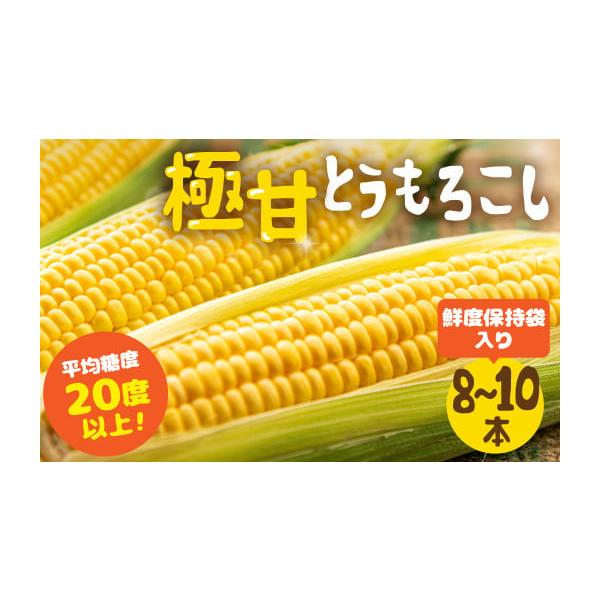 容量朝採りとうもろこし　5kg前後消費期限発送日より4日間発送期日発送期間：・6月下旬から7月下旬※発送期間以外のお申し込みは先行予約となります。※収穫の状況に応じてベストな状態で、お申し込み順に商品の発送を行っております。※台風等の荒天に...