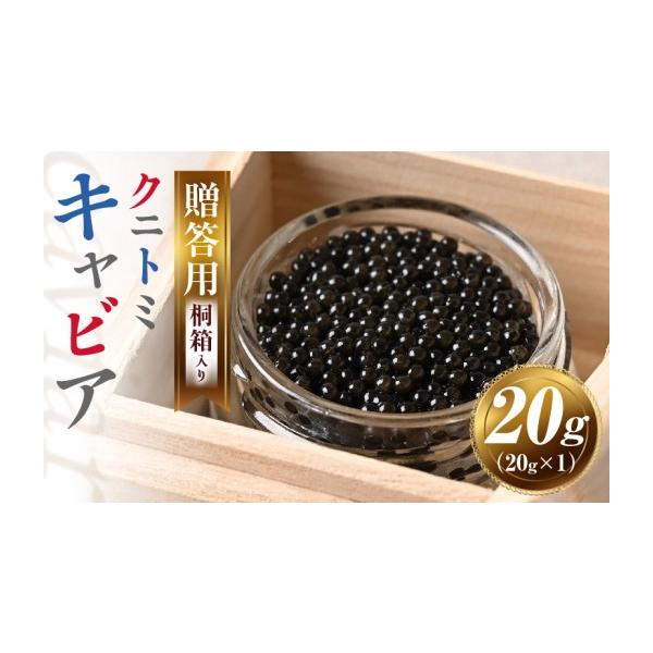 ふるさと納税 魚貝類 キャビア 宮崎県 国富町  贈答用 クニトミキャビア20g（20g×1）