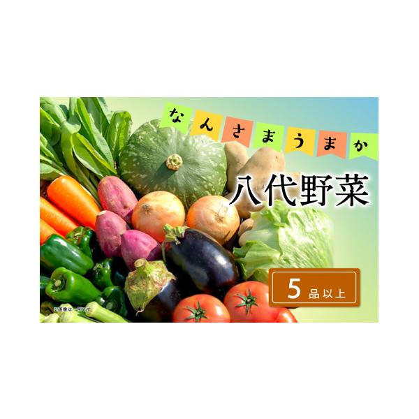 ふるさと納税 セット・詰合せ 熊本県 八代市 令和8年熊本地震復興支援 なんさまうまか八代野菜セット 5品以上 やさい 詰め合わせ 熊本県産