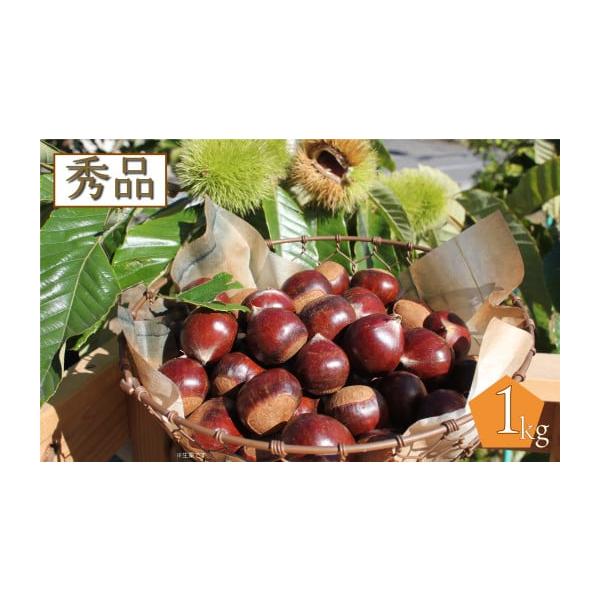 容量約1kg（※生栗につきご注意ください！）消費期限生鮮品ですので、到着後はお早めにお召し上がりください。発送期日＜2026年10月中旬以降発送＞ 入金確認後、お申込み順に順次発送※収穫状況により発送ができなくなった場合は、来季（2027年...