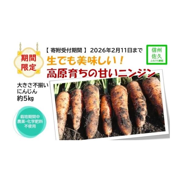 容量約5kg消費期限賞味期限：お早めにお召し上がりください。発送期日30営業日以内に出荷配送常温 別送事業者くさぶえ農園長野県佐久市協和8526-24申込条件何度も申し込み可