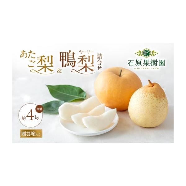 容量あたご梨 2〜3玉・鴨梨（ヤーリー）3〜7玉 合計約4kg岡山県内産（5条8号ハ）※贈答箱で上品に梱包いたします。（時期により箱デザインの変更がございます）消費期限出荷日より冷暗所で1週間発送期日2026年11月15日〜2026年12月...