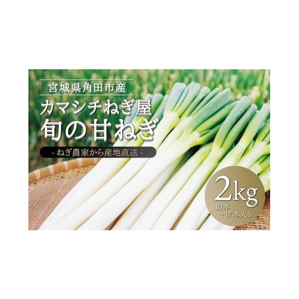 容量甘ねぎ2kg（約10本〜17本）【産地】宮城県角田市消費期限発送から1週間生ものですのでお早めにお召し上がりください・発送は収穫の都合上、毎週金曜日となります。予めご了承ください【保存方法】１０度以下の涼しい場所で保存ネギの到着後は、新...