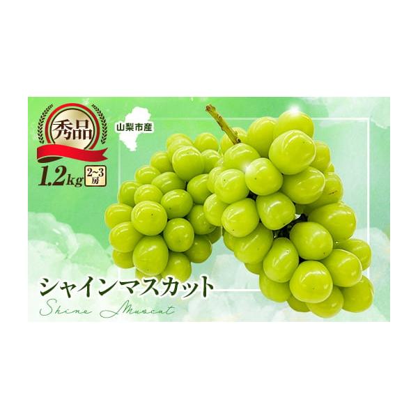 容量■お礼品の内容について・シャインマスカット秀[1.2kg(2〜3房)]原産地:山梨県／製造地:山梨県山梨市消費期限■賞味期限:出荷日+5日※到着後、すぐにお礼品の状態をご確認のうえ、お早めにお召し上がりください。発送期日2026-08-...