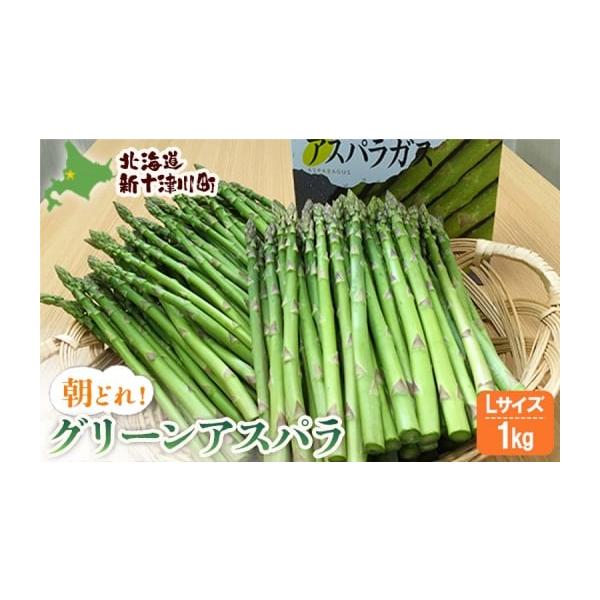 容量グリーンアスパラ　Lサイズ500g×2袋　合計1kg消費期限賞味期限／5日間発送期日令和8年5月中旬〜6月中旬に発送いたします。配送冷蔵 時間指定 別送申込期日令和8年5月31日入金確認分まで申し込みを受け付けております。事業者新十津川...