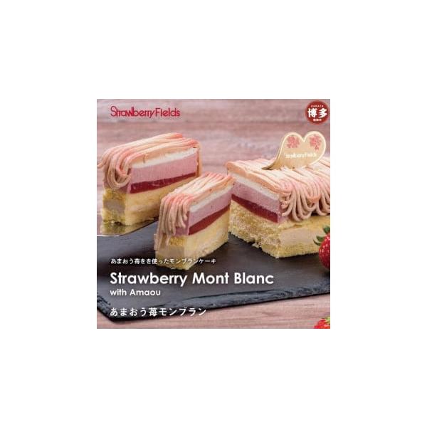 容量あまおう苺モンブランケーキ 1個（15cm×7.5cm×5.5cm）消費期限冷凍60日。解凍して2日以内で お召し上がりください。発送期日通年※準備が整い次第順次発送いたします。配送冷凍 別送事業者ストロベリーフィールズ申込条件何度も申...
