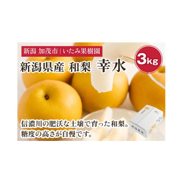 容量3kg玉数の目安：7〜11玉消費期限到着から5日発送期日2026年8月上旬〜8月下旬配送常温 時間指定 別送申込期日2026年8月10日まで事業者いたみ果樹園申込条件何度も申し込み可、オンライン決済限定