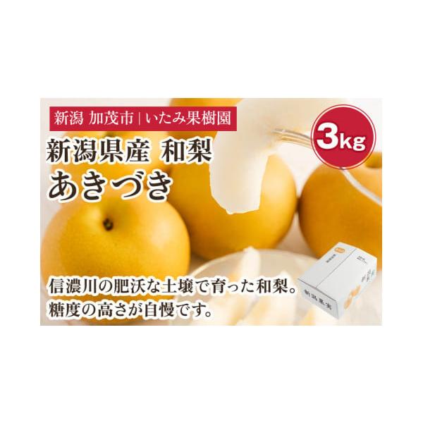 容量3kg玉数の目安：7〜11玉消費期限到着から5日発送期日2026年9月上旬〜9月下旬配送常温 時間指定 別送申込期日2026年9月10日まで事業者いたみ果樹園申込条件何度も申し込み可、オンライン決済限定