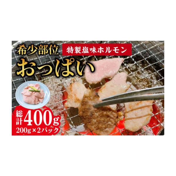 希少！お肉屋さん専用オブジェ、ブロンズ 部位別　豚 希少！お肉屋さん専用オブジェ、ブロンズ 部位別 豚
