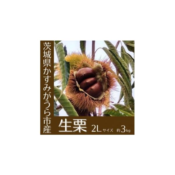 容量■お礼品の内容について・生栗(2Lサイズ)[約3kg]原産地:茨城県かすみがうら市消費期限■賞味期限:出荷日+7日(要冷蔵)発送期日2026-10-6〜2026-10-30　※離島にはお届けできません。配送冷蔵 別送申込期日2025-1...