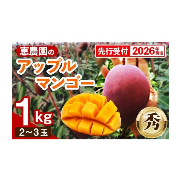 数量限定！！沖縄県産アップルマンゴー苗木　約3年もの貴重な苗木1本お送りします。 2026年1月中旬～発送【観葉植物】アップルマンゴー苗木6号ポット