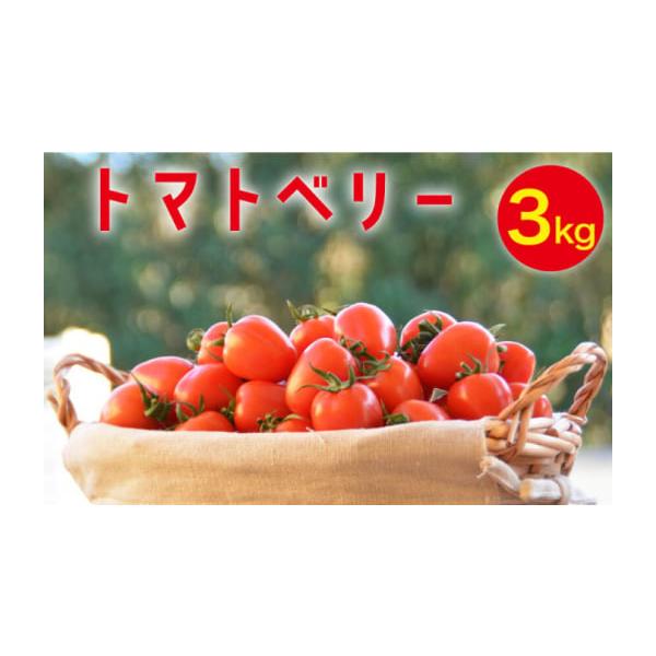 容量3kg【原料原産地】南島原市消費期限【賞味期限】生ものですので新鮮なうちにお召し上がりください。発送期日12月〜5月に順次発送※天候等の影響や収穫都合により、発送が前後する場合があります。※年末年始は寄附申込が集中するため、お時間がかか...