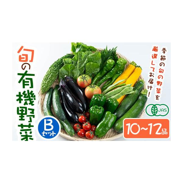 容量旬の有機野菜セットB：10〜12品消費期限生鮮品のため、なるべく早くお召し上がりください。発送期日下記の期間に順次発送いたします春夏野菜：6月上旬〜7月下旬秋冬野菜：12月上旬〜2月下旬配送冷蔵 別送事業者さとう有機農園　株式会社申込条...