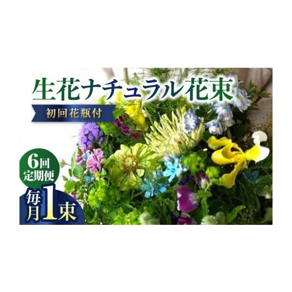 高知県産の季節の花6回定期便で彩る暮らし