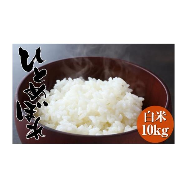 ふるさと納税 米 ひとめぼれ 岩手県 陸前高田市 令和7年度産 白米 10kg