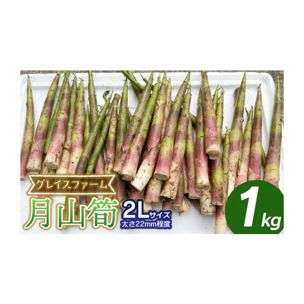 容量月山筍　2Lサイズ（太さ22mm程度）　1kg（8〜20本程度）消費期限収穫後4日以内発送期日令和8年5月10日〜6月10日頃発送予定※天候や発育状況により、発送期間が前後する場合がございます。※お届け日のご指定はできません。配送冷蔵 ...