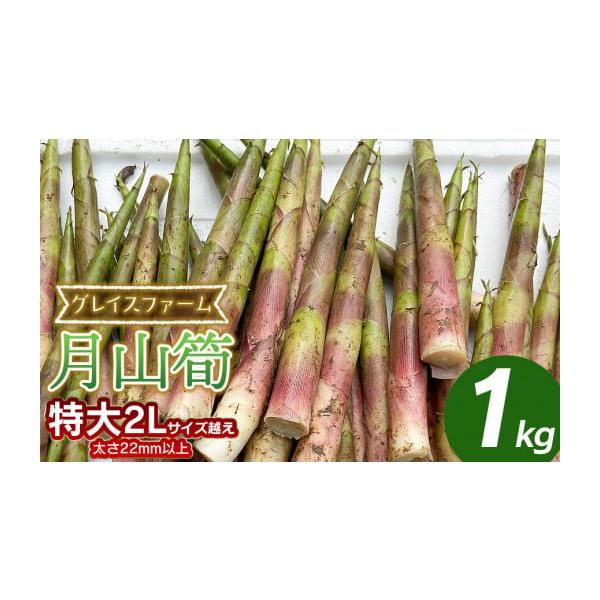 容量月山筍　特大サイズ（2Lサイズ以上）　1kg（8〜20本程度）※サイズや本数のご指定は出来ません。消費期限収穫後4日以内発送期日令和8年5月10日〜6月10日頃発送予定※天候や発育状況により、発送期間が前後する場合がございます。※お届け...