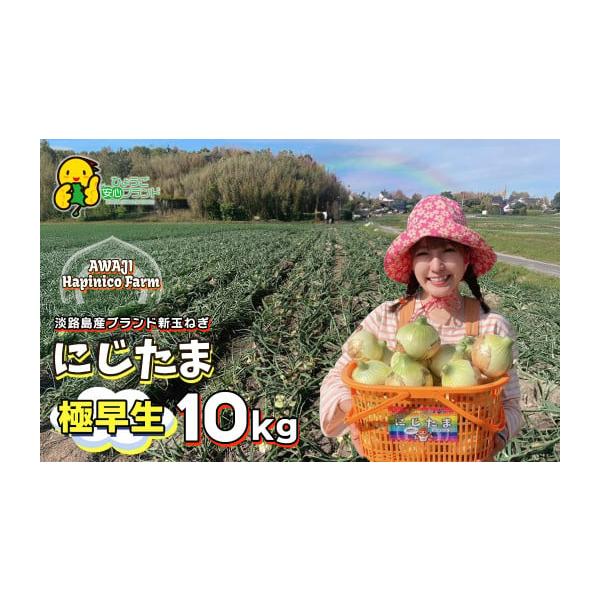 容量内容量：9kg個数：35個前後（一つ当たり約250g計算）※多少前後します。※ダンボールの重さも含みます。※新玉ねぎは質量が小さい為、kg数が少なくなりますが、大きさ・個数は一般的な玉ねぎと同じです。消費期限１〜２週間を推奨(1)風通し...