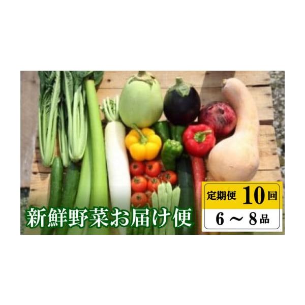 容量季節の旬野菜：1回につき6品〜8品消費期限到着後はお早めにお召し上がりください。発送期日令和8年1月から順次発送（1月から6月、9月から12月の計10回）1回目の発送は1月です。 お届け指定は可能です。※土曜日・日曜日が休業日のため、月...