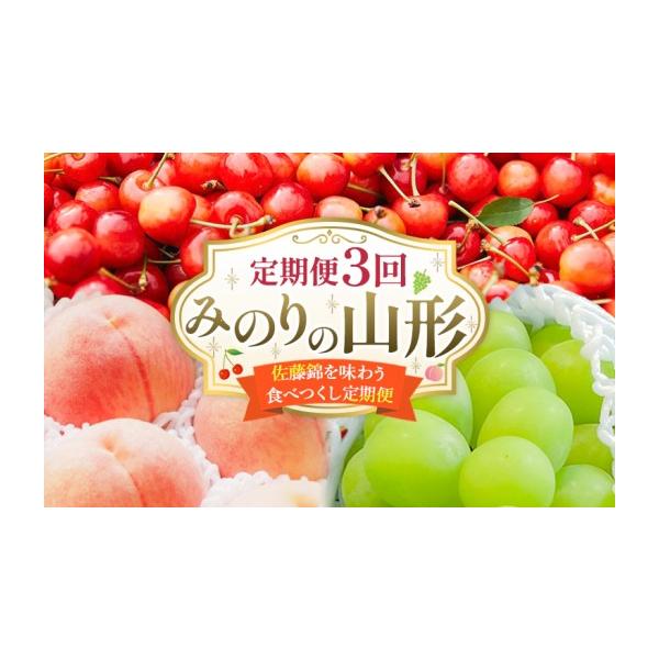 ふるさと納税 果物類 さくらんぼ 山形県 山形市  定期便3回 みのりの山形〜佐藤錦を味わう食べつくし定期便〜くだもの 果物 フルーツ 山形 山形県 山形市 FY23…