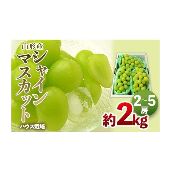 ふるさと納税 ぶどう マスカット 山形県 山形市 ハウス栽培 山形の