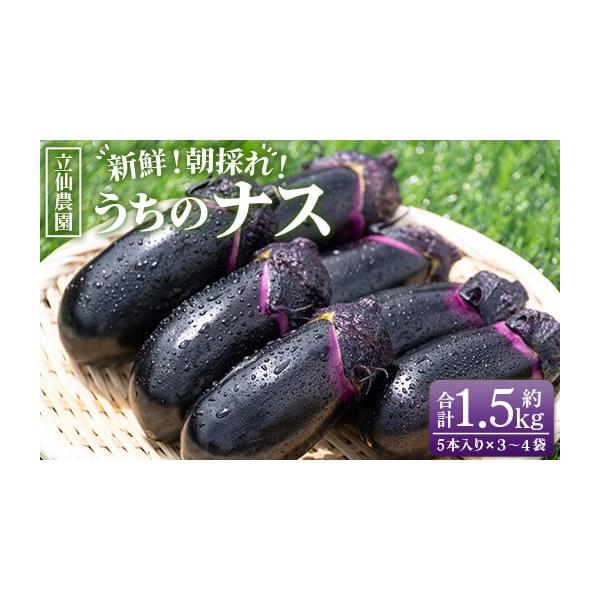 容量■なす：１.５kg（５本入り３〜４袋）消費期限生鮮食品ですので商品到着後はお早めにお召し上がりください。発送期日入金確認後、30日以内に発送予定 配送常温 時間指定 別送申込期日なくなり次第終了事業者立仙農園申込条件何度も申し込み可