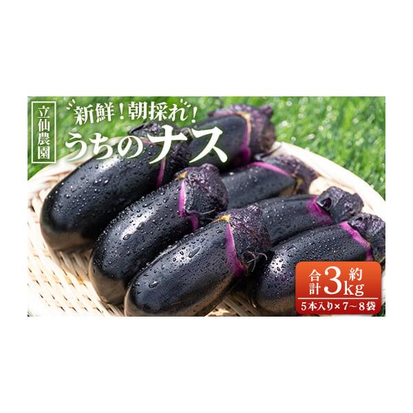 容量■３kg（５本入り７〜８袋）消費期限生鮮食品ですので商品到着後はお早めにお召し上がりください。発送期日入金確認後、30日以内に発送予定 配送常温 時間指定 別送申込期日なくなり次第終了事業者立仙農園申込条件何度も申し込み可