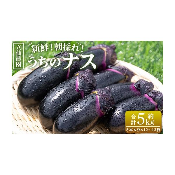 容量■５kg（５本入り１２〜１３袋）消費期限生鮮食品ですので商品到着後はお早めにお召し上がりください。発送期日入金確認後、30日以内に発送予定 配送常温 時間指定 別送申込期日なくなり次第終了事業者立仙農園申込条件何度も申し込み可