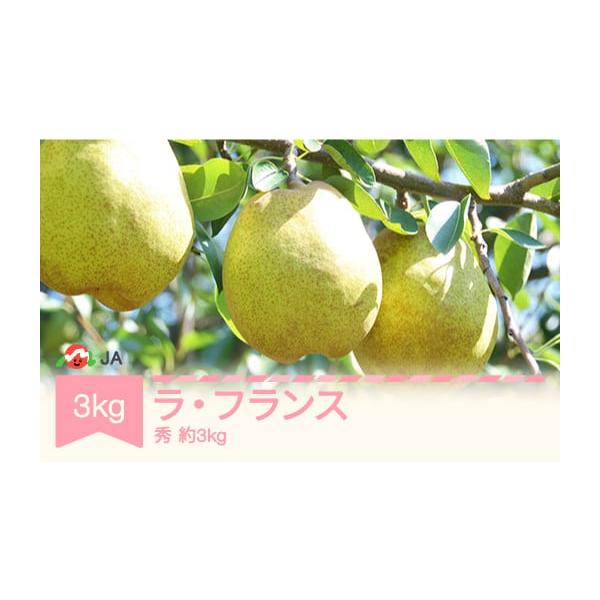 容量ラ・フランス 秀以上 約3kg消費期限■食べ頃（完熟）についてお手元に届いた後、常温で2〜3日（目安）保存していただきますと、甘い香りが強くなり食べ頃になります。食べ頃（完熟）とは耳たぶくらいのやわらかさになり、皮を剥くと果汁が滴り落ち...