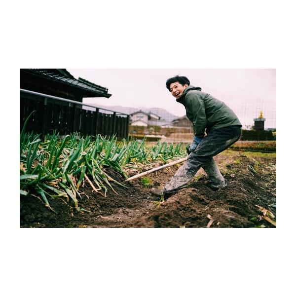 容量土付き岩津ねぎ3kg消費期限到着開封後、1週間程度発送期日2025年12月16日以降順次発送※配送日の指定、北海道・東北・沖縄・離島へのお届けはできません。※郵便振替は決済完了後、市が入金確認できるまで３営業日ほど時間を要します。配送常...