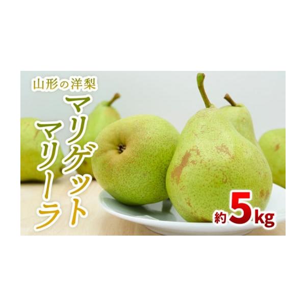 容量【令和8年産】山形産 マリゲットマリーラ 秀品 約5kg (7〜15玉)発送期日2026年09月05日頃〜2026年10月05日頃※状況により配送時期が前後する場合がございます。(着日指定不可)配送冷蔵 時間指定 別送申込期日2026年...