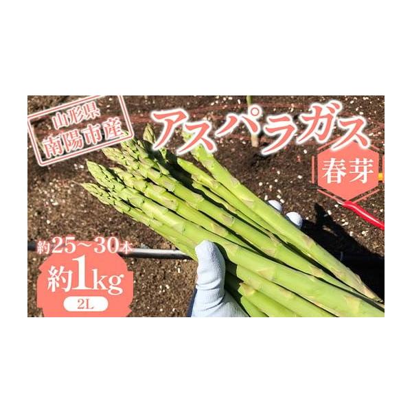 容量アスパラガス 約1kg2Lサイズ（約26cm、30g〜39g） 約25〜30本前後消費期限賞味期限：到着後2日以内※消費期限の短いお品ですので、お受け取りにはご注意ください。発送期日令和8年5月上旬〜6月中旬頃に順次発送※天候により収穫...