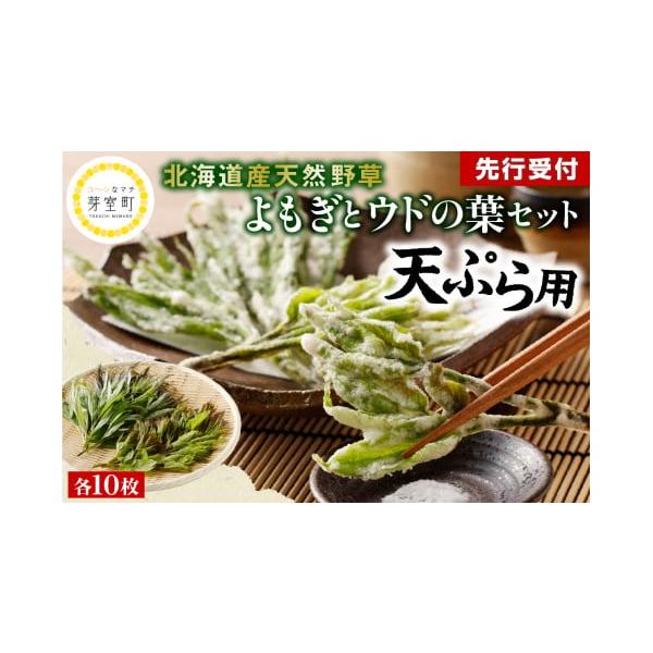 容量・よもぎ（10枚）・ウドの葉（10枚）消費期限1週間発送期日2026年5月初〜5月末にかけて順次発送※収穫状況により前後する場合がございます。配送冷蔵 時間指定 別送申込期日2026年4月20日まで事業者株式会社　ヤマオ申込条件何度も申...